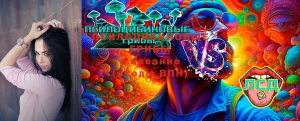 не бодяженный Аркадак
