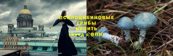 не бодяженный Аркадак